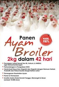 panen ayam briler 2 kg dalam 42 hari