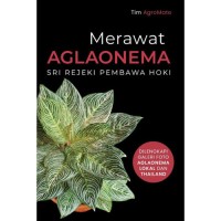 Merawat Aglaonema: sri rejeki pembawa hoki