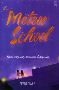 Image of Meteor School