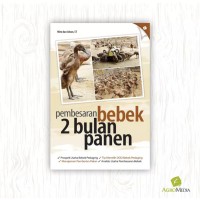 Image of Pembesaran Bebek 2 Bulan Panen