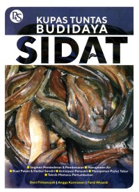 kupas tuntas budidaya sidat