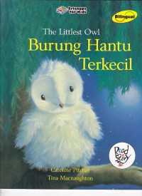 Image of The Littlest Owl Burung Hantu Terkecil