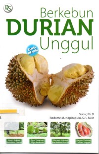 Image of Berkebun durian unggul