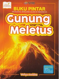 Buku Pintar Mengenal Bencana Alam DI Indonesia: Gunung Meletus