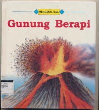 Gunung berapi