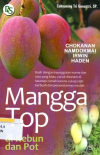 Mangga top di kebun dan pot