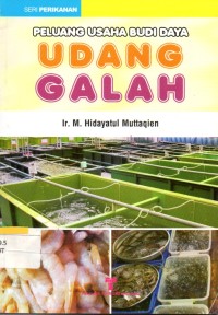 Peluang usaha udang galah