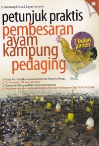 Petunjuk Praktis Pembesaran Ayam Kampung Pedaging