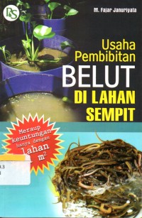 Usaha Pembibitan Belut Di Lahan Sempit