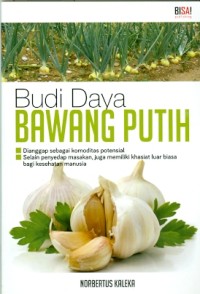 Budi Daya Bawang Putih