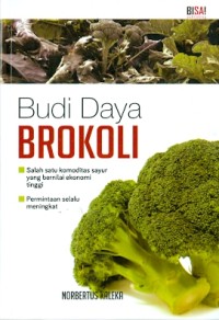 Budi Daya Brokoli