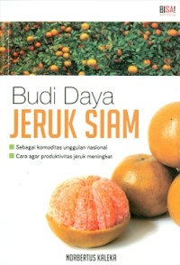 Budidaya jeruk siam