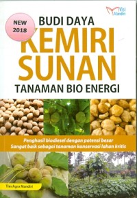 Budidaya kemiri sunan tanaman bio energi