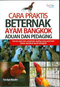 cara praktis benternak ayam bangkok aduan dan pedaging