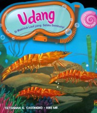 Udang Si Makhluk Laut yang Selalu Bersembunyi