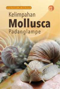 Kelimpahan Mollusca Padanglampe