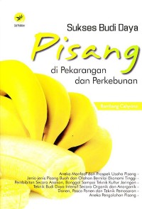 Sukses Budi Daya Pisang di Pekarangan dan Perkebunan