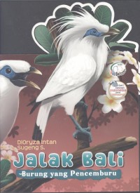 Image of Jalak Bali Burung yang Pencemburu
