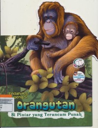 Image of Orangutan