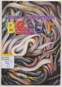 mari berternak belut