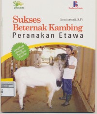 SUKSES BETERNAK KAMBING PETERNAKAN ETAWA