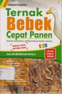 Ternak Bebek Cepat Panen