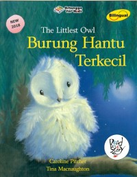 Image of Burung Hantu Terkecil = The Little Owl