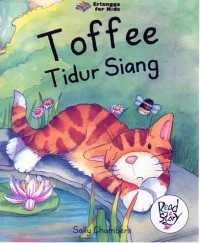 Image of Toffe Tidur Siang