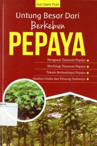 Untung Besar Dari Berkebun Pepaya